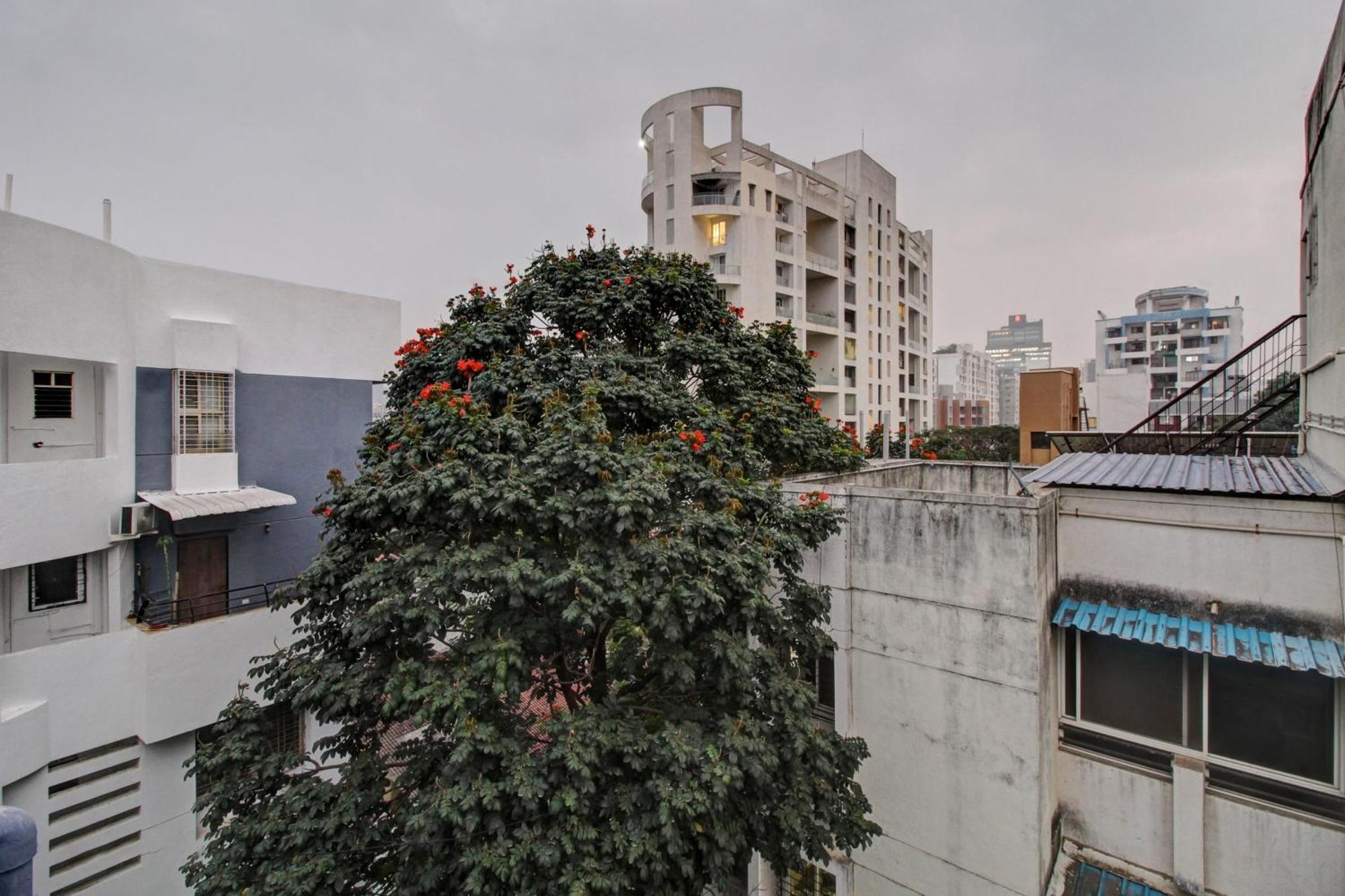 Super Collection O Grey House Hotel Pune Luaran gambar